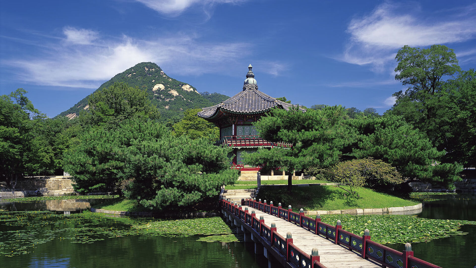 九游娱乐体育官网-勇士球队战术执行更精准，勇士球队战术执行更精准吗