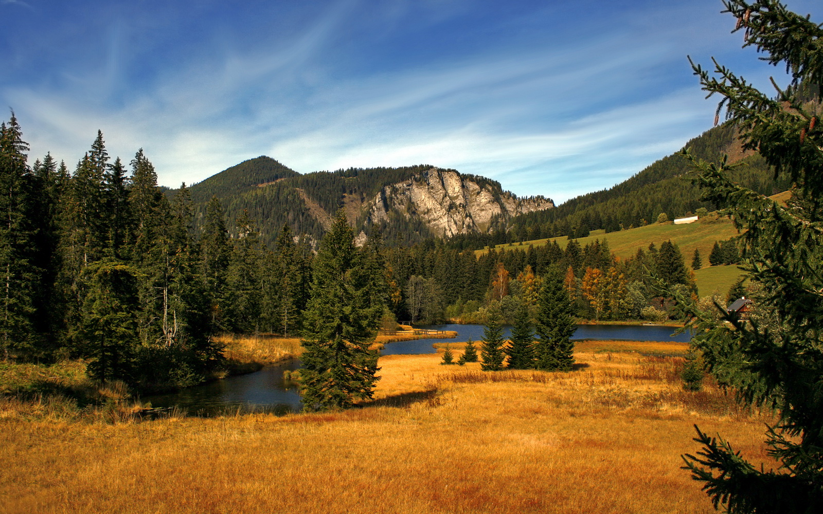 基层赛事运营模式无法实现自负盈亏,赛事运行机制