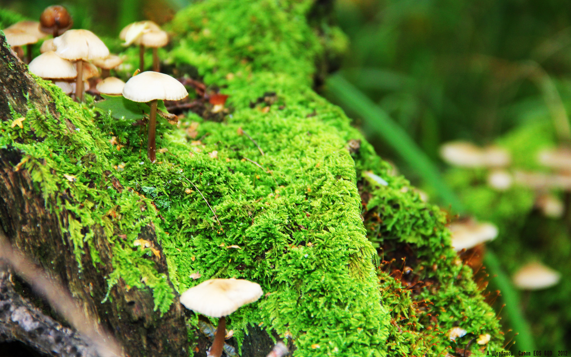 九游平台-波兰队赛场表现剖析：如何在国际乒联混合团体世界杯中应对挑战