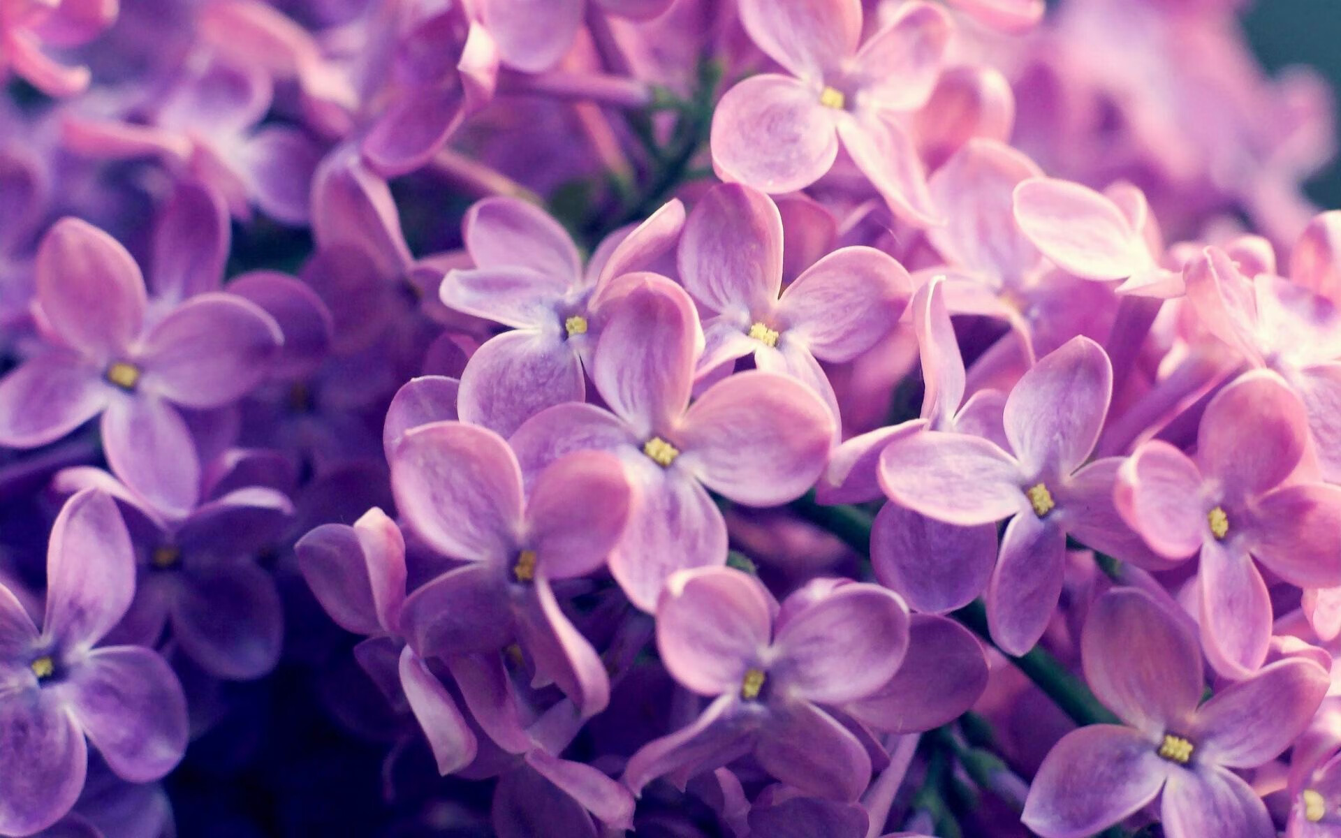 九游娱乐体育官网-球员节奏控制训练是否应纳入常规战术系统，节奏训练是什么意思