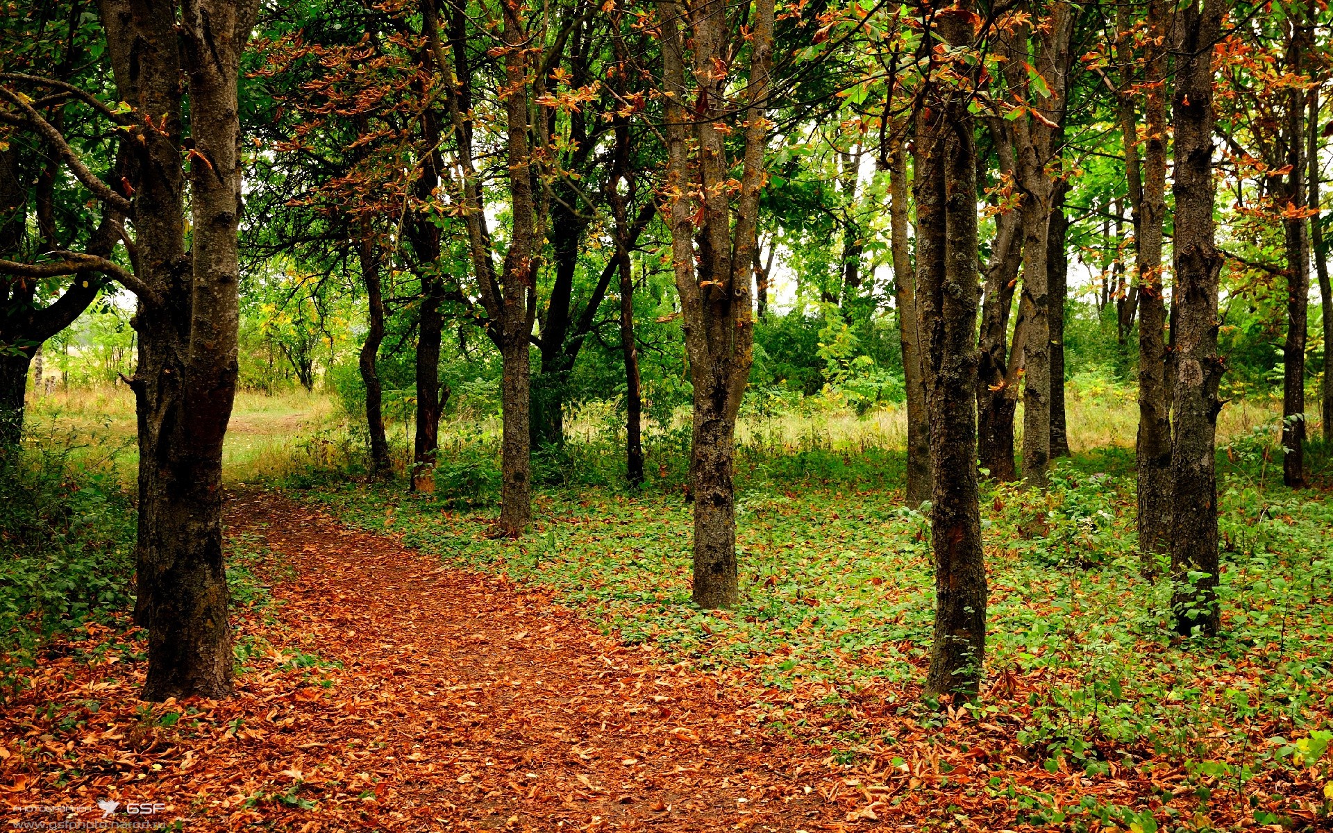 九游体育官网-南非蝶泳新星震撼登场，南非游泳