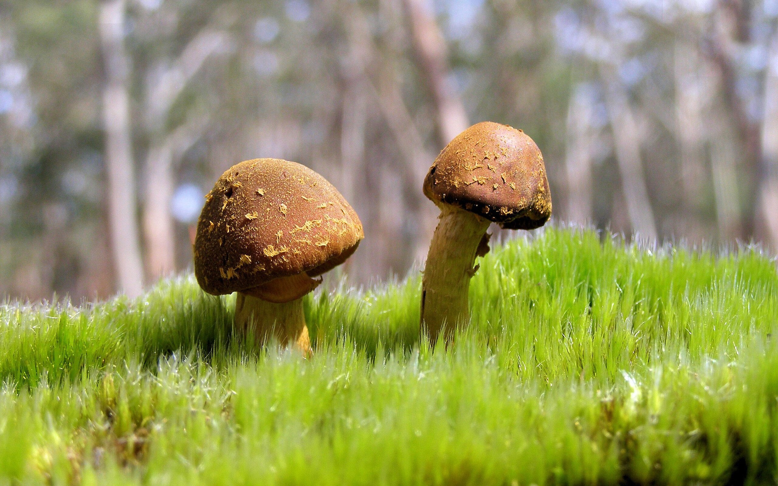 多地同时举办青少年邀请赛推动区域体育交流与人才流动，全国青少年体验活动