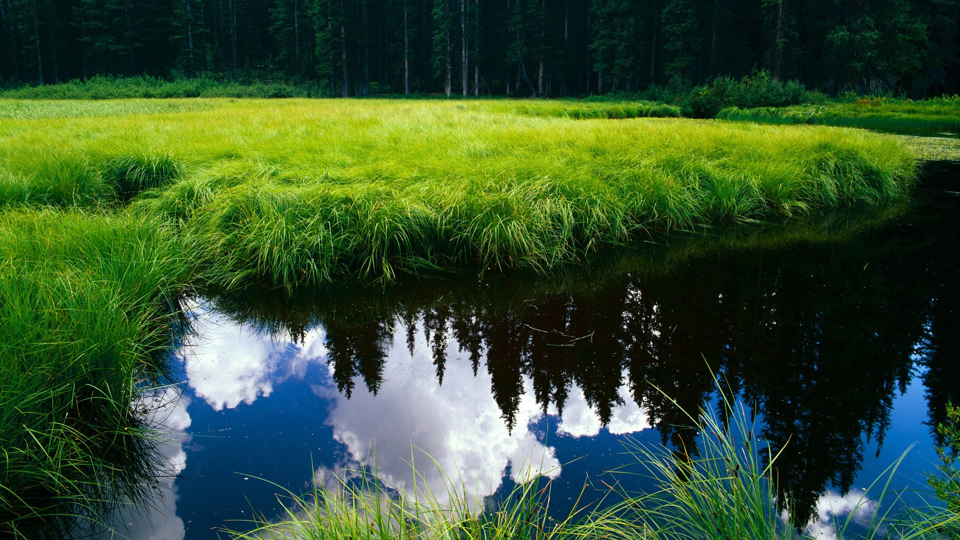意甲铁血防守:坚如磐石的防线阻挡一切攻势,现在的意甲防守强吗
