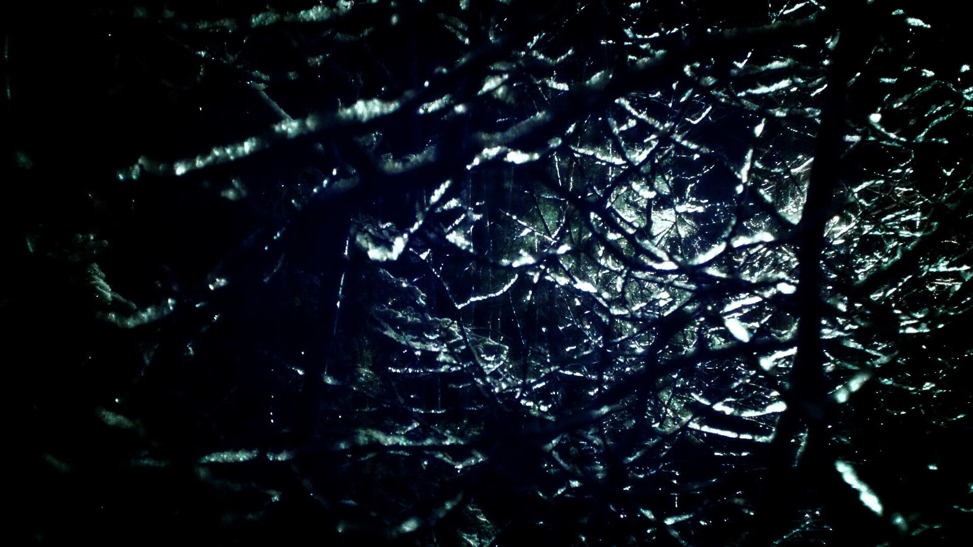 澳大利亚加强橄榄球基础设施建设,澳大利亚国家橄榄球联赛